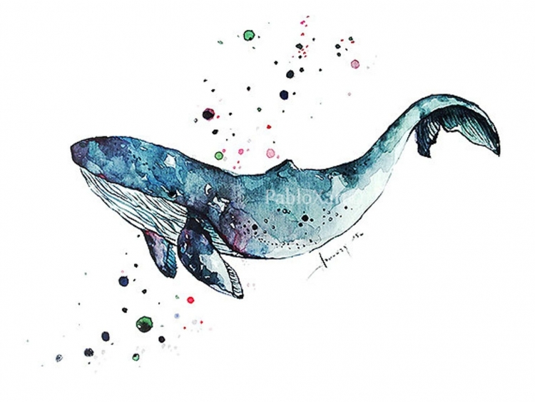 Кит рисунок