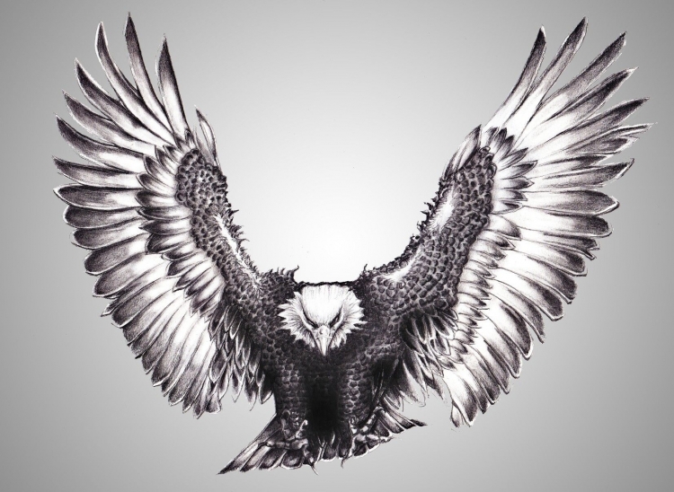 Крылья орла рисунок