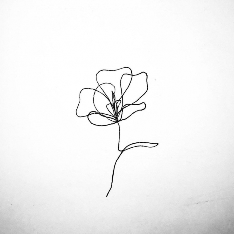 Рисунок одной линией цветы - 70 фото