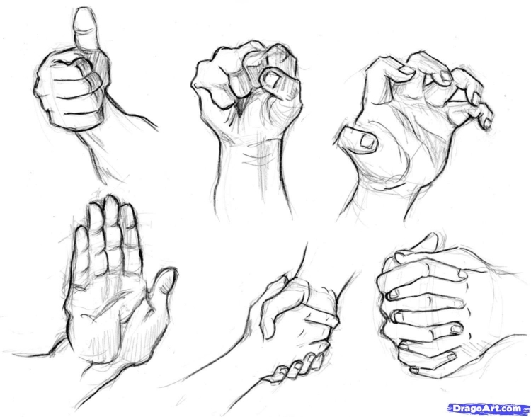 Рука сжатая в кулак рисунок