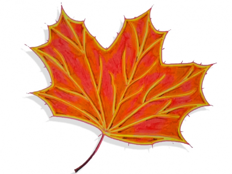Осенний лист клена рисунок