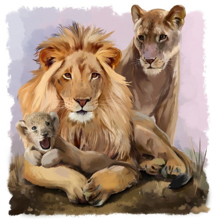 Львица и львенок рисунок