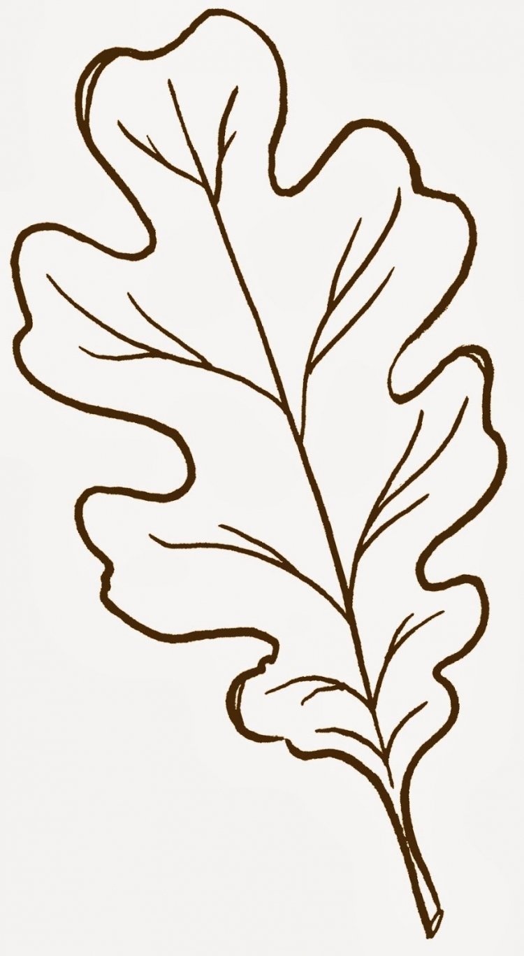 Листок дуба рисунок