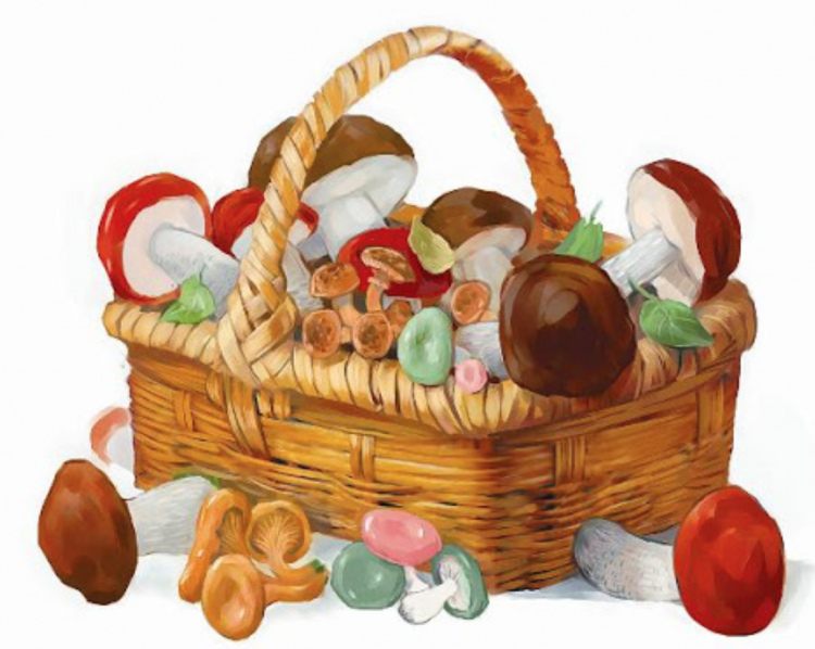 Корзина для грибов для детей