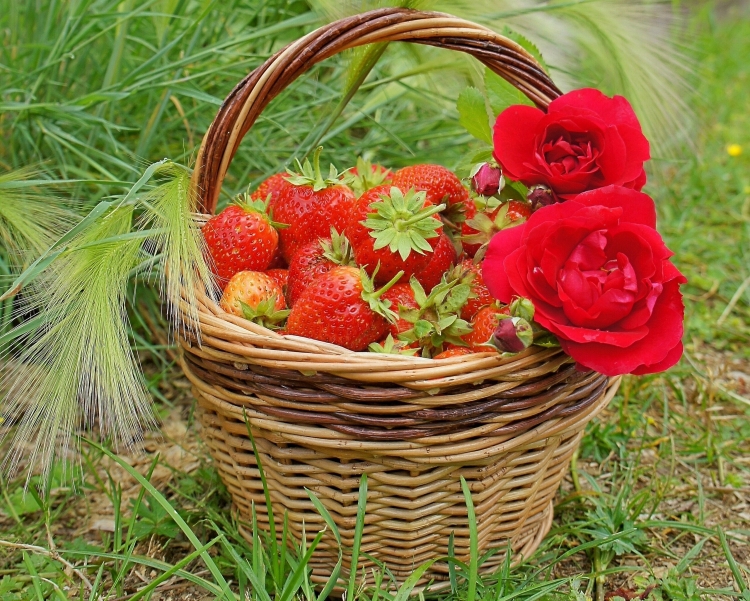 Корзина с клубникой