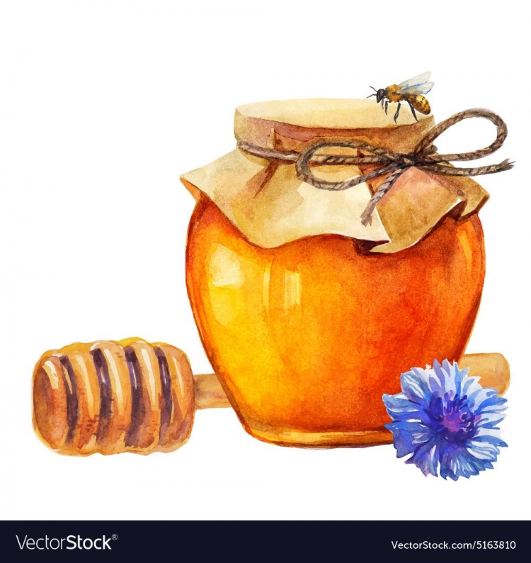 Банка мёда для срисовки
