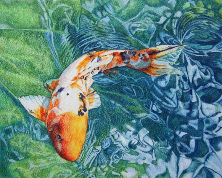 Карпы кои акварель