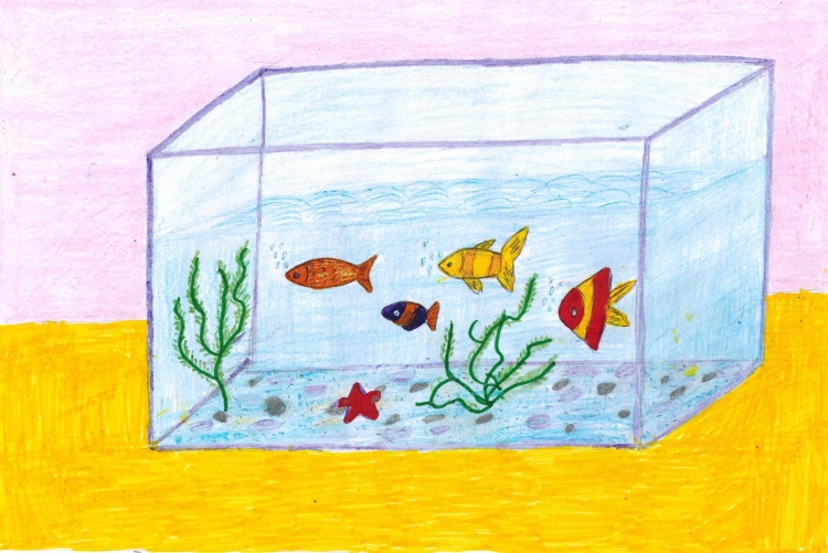 Рыбы в аквариуме рисунок
