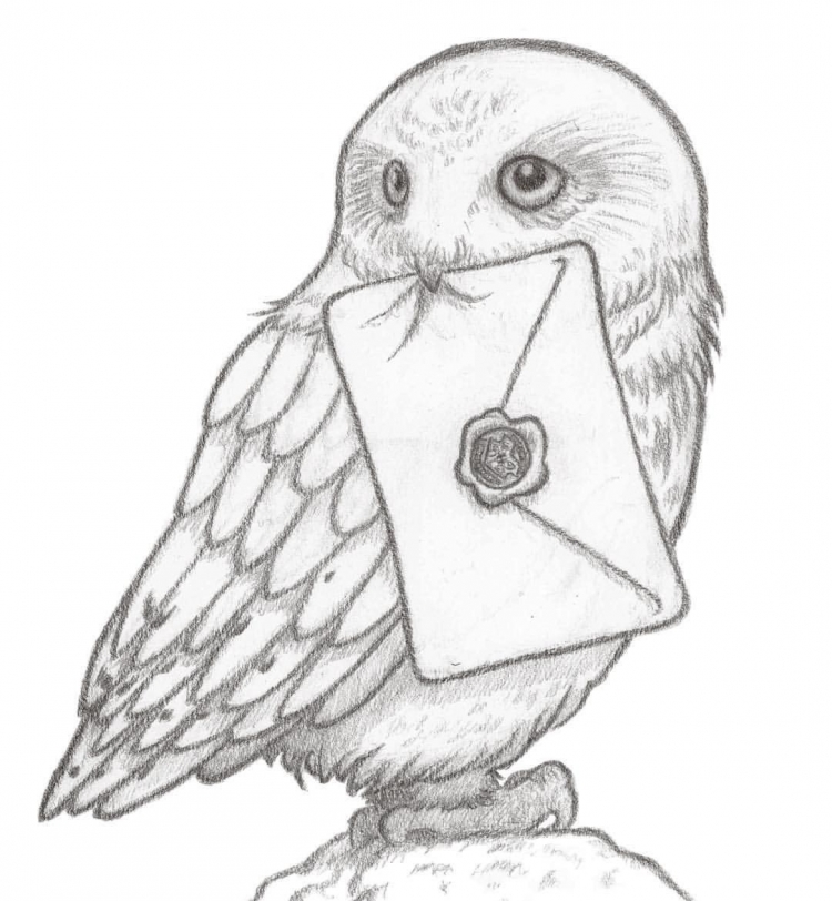 Гарри поттер сова рисунок