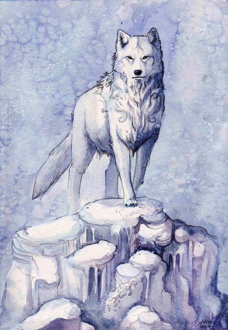 Сидящий волк рисунок