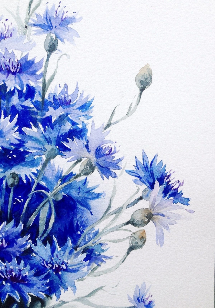 Голубые цветы рисунок