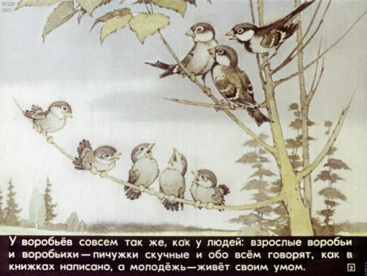 Арты птиц