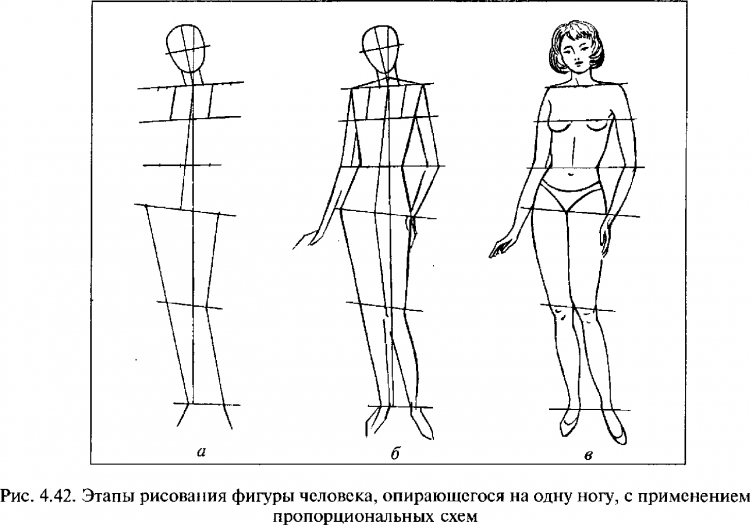 Фигура человека рисунок пропорции