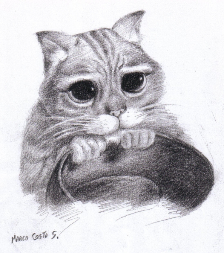 Кот из шрека рисунок
