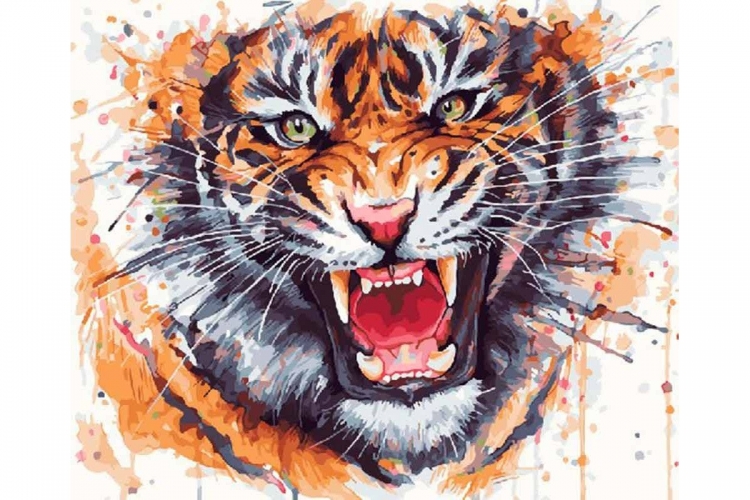 Оскал тигра рисунок