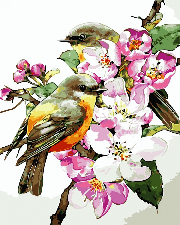 Kitipong_Maksin_ птицы