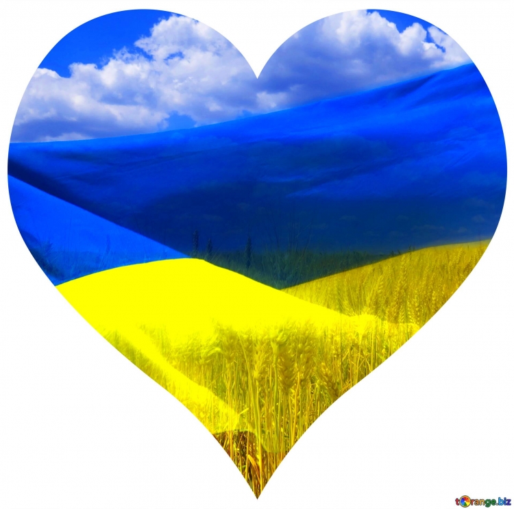 Украинская тематика