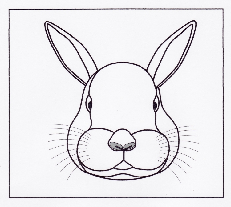 Мордочка кролика рисунок