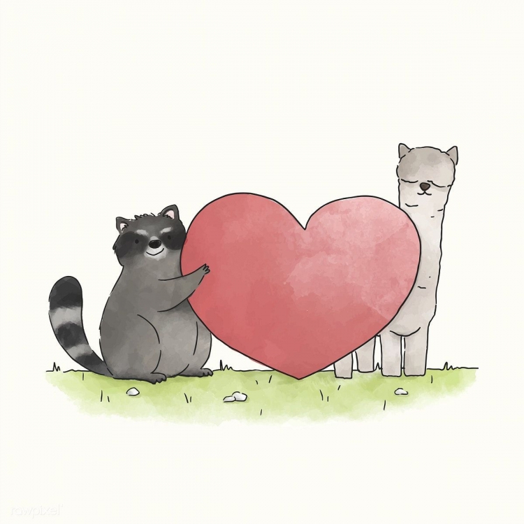 Котики обнимашки