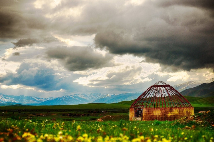 Природа Кыргызстана жайлоо