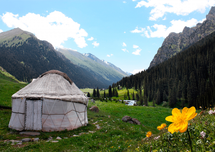 Природа Кыргызстана дайлоо
