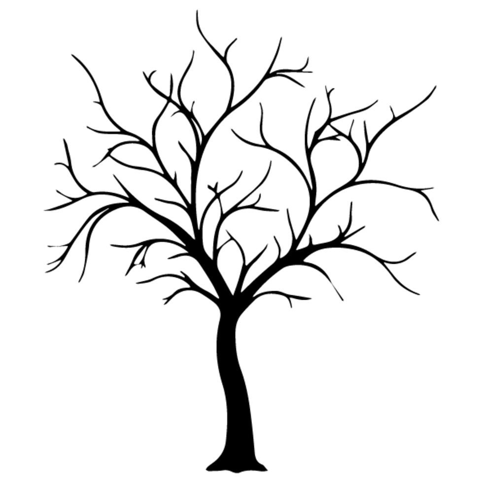 Раскраска Дерево без листьев - детские раскраски распечатать бесплатно