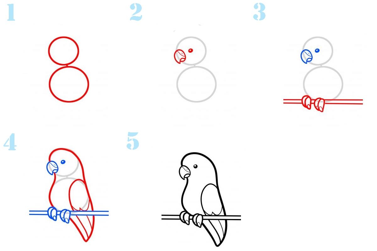 С чего начать рисовать попугая