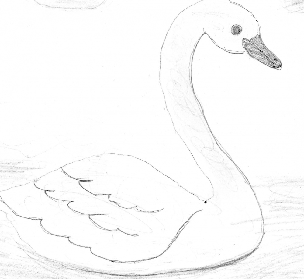 Как нарисовать Лебедя