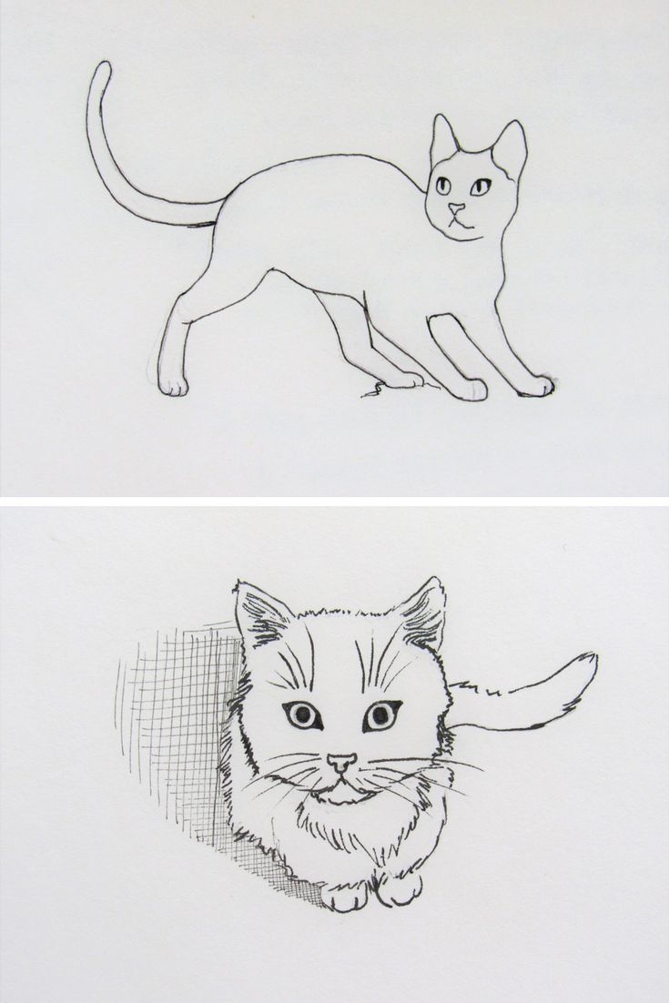Рисунки котят для срисовки