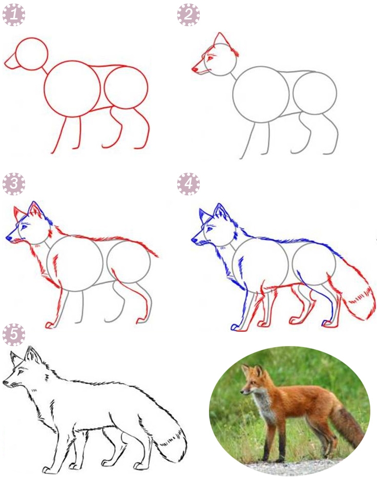 Как нарисовать лису для детей