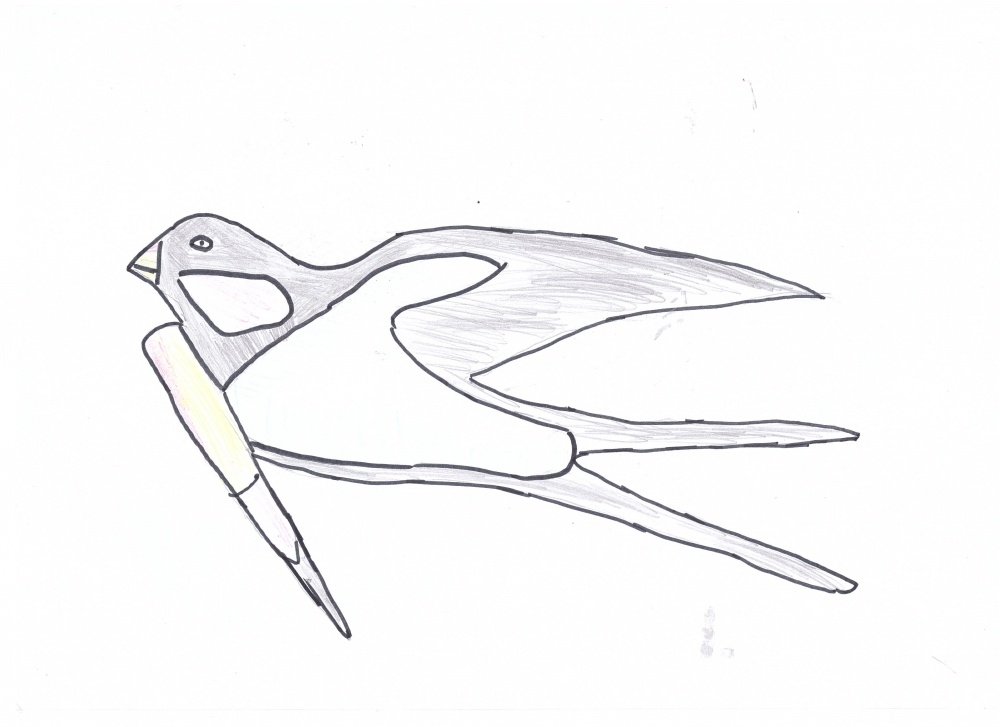 Как нарисовать ласточку для детей. Рисование перелетные птицы. Рисование для детей перелетные птицы. Трафареты птиц для рисования. Рисование перелетные птицы Ласточка.