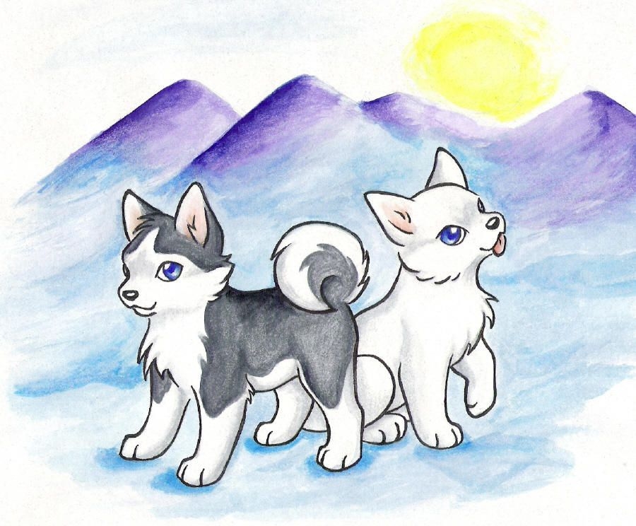 Волчонок рисунок для детей