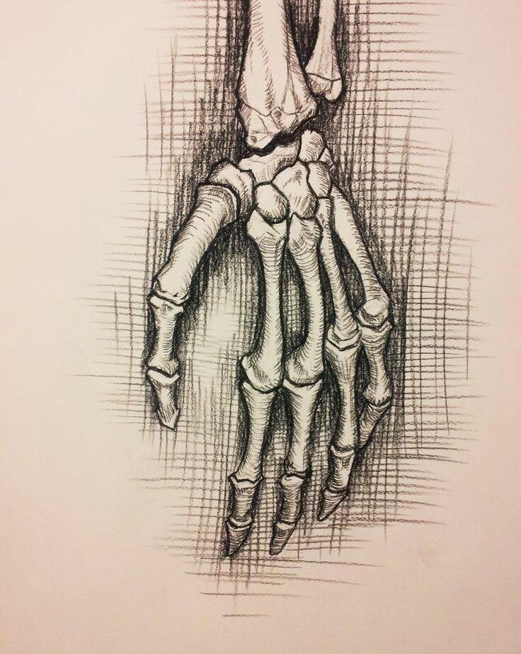 Как нарисовать руку скелета