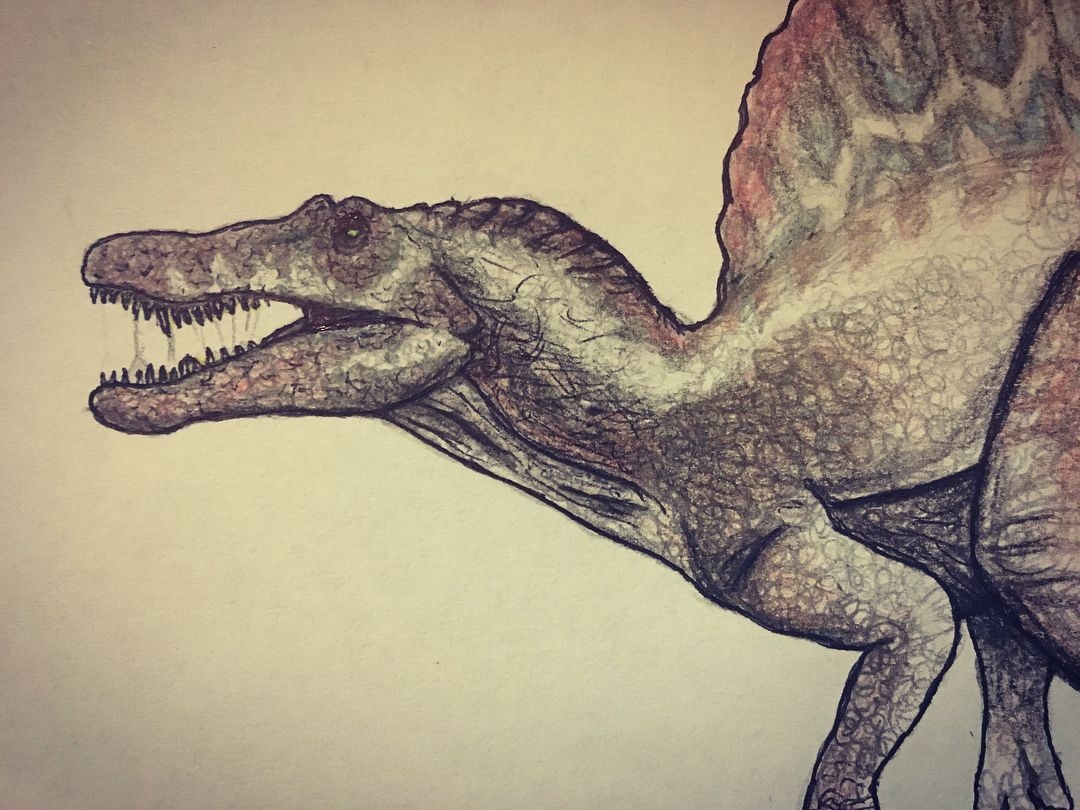 Как нарисовать спинозавра - 26 фото