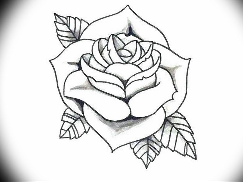 нарисовать розу татуировку | Дзен