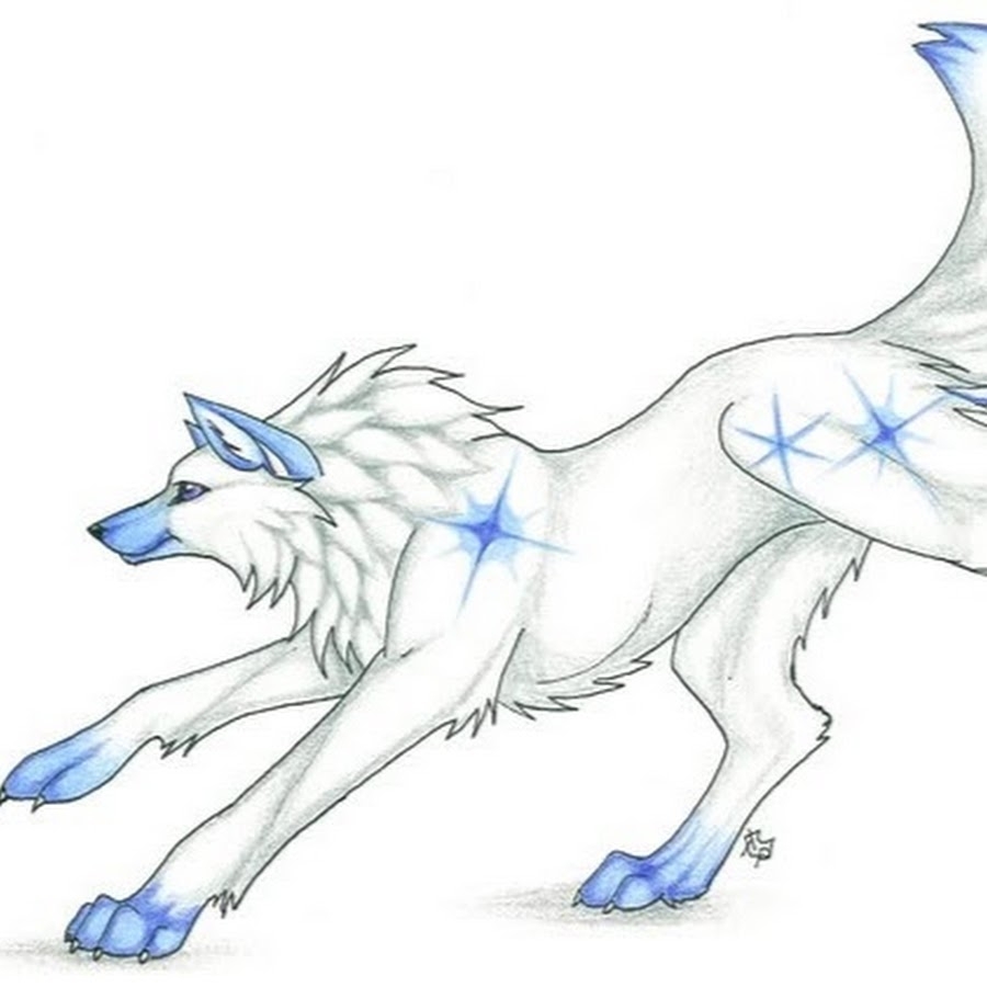 7 шагов: 🐺 Как нарисовать волка поэтапно карандашом легко и красиво