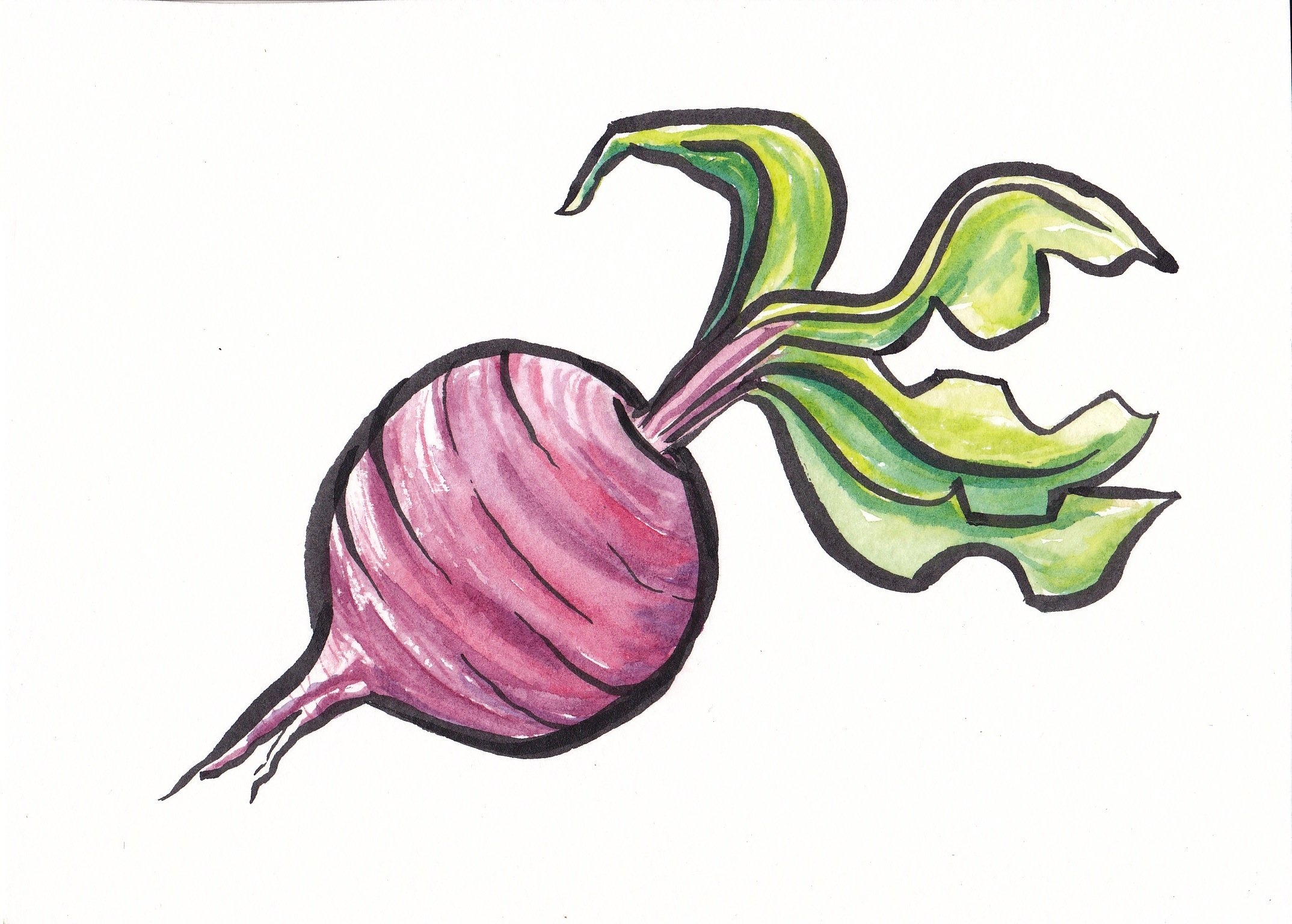 Как нарисовать овощи — редиску и свёклу