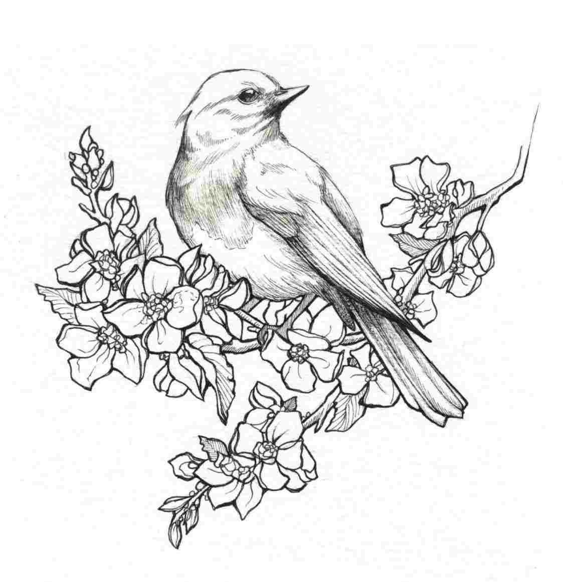 Раскраска Антистресс дерево и птицы: распечатать бесплатно, скачать