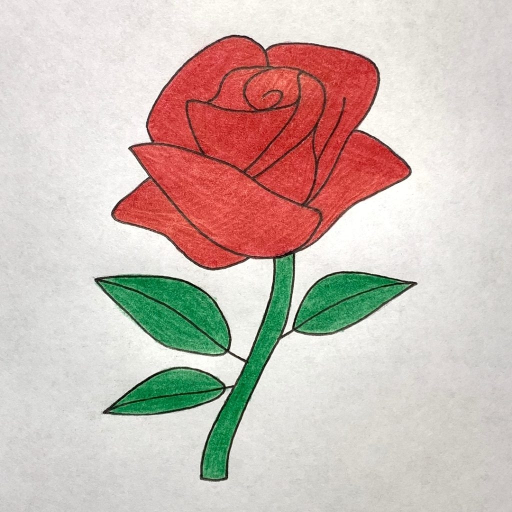 как нарисовать розу how to draw a rose #draw