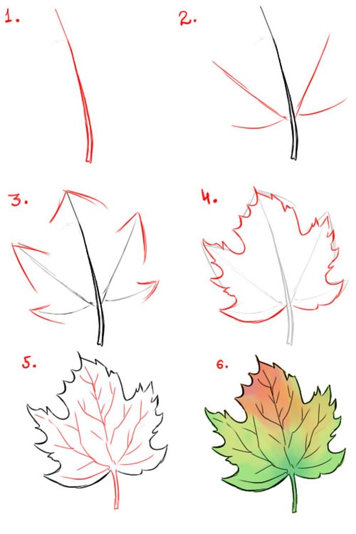 Схемы рисования листьев, веток и деревьев (берёза, ель, дуб, клён)
