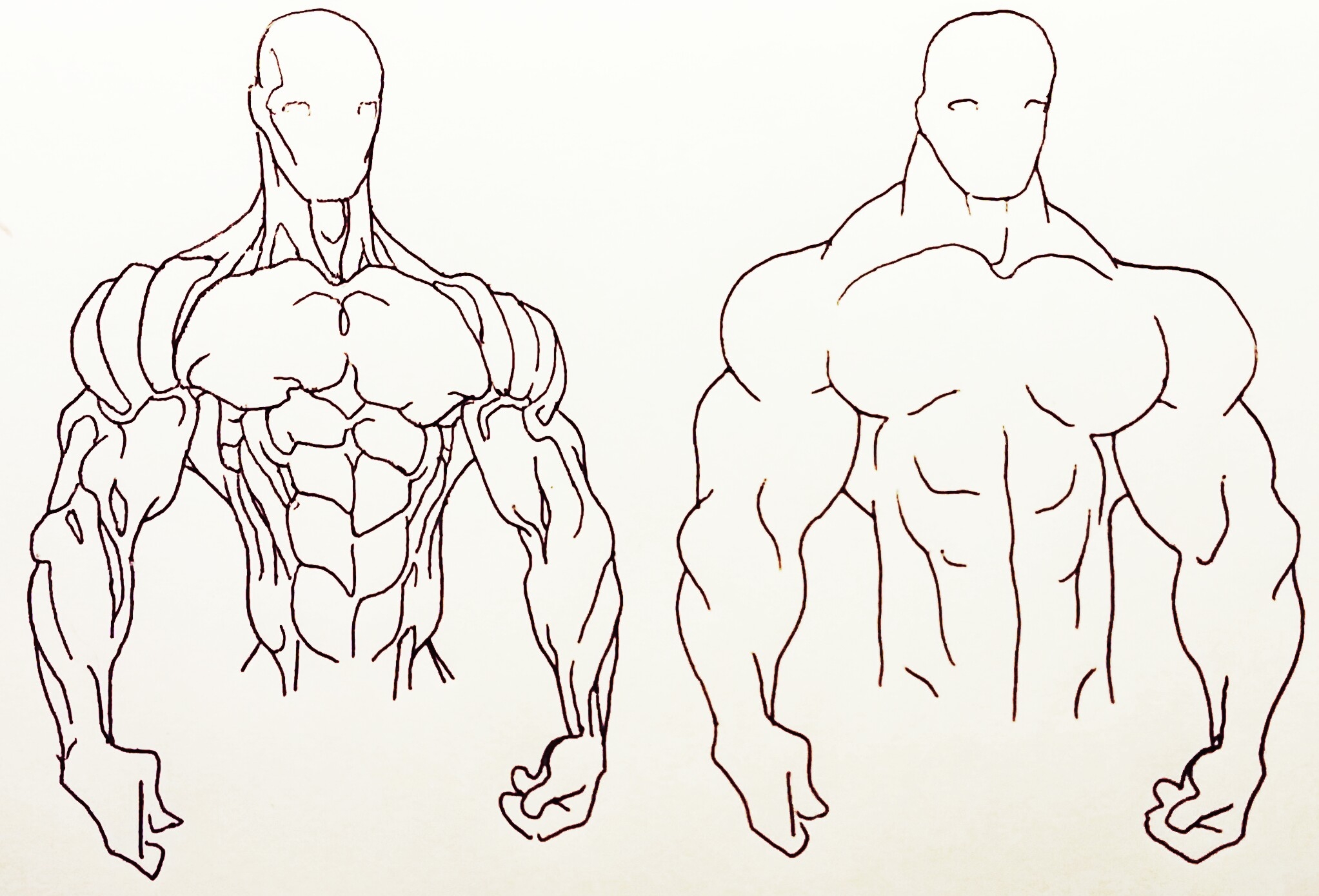 Как рисовать Мужское тело