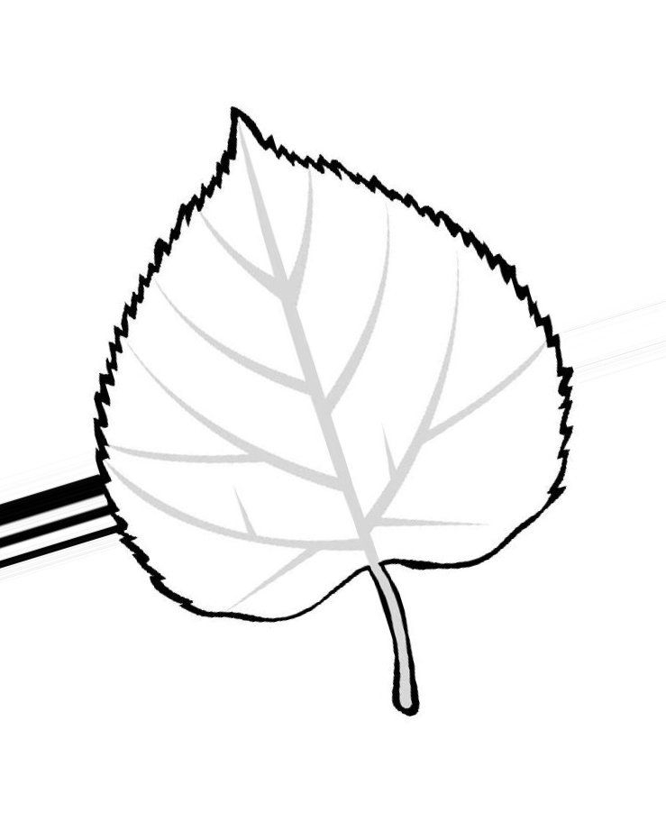 Листья березы шаблоны для вырезания