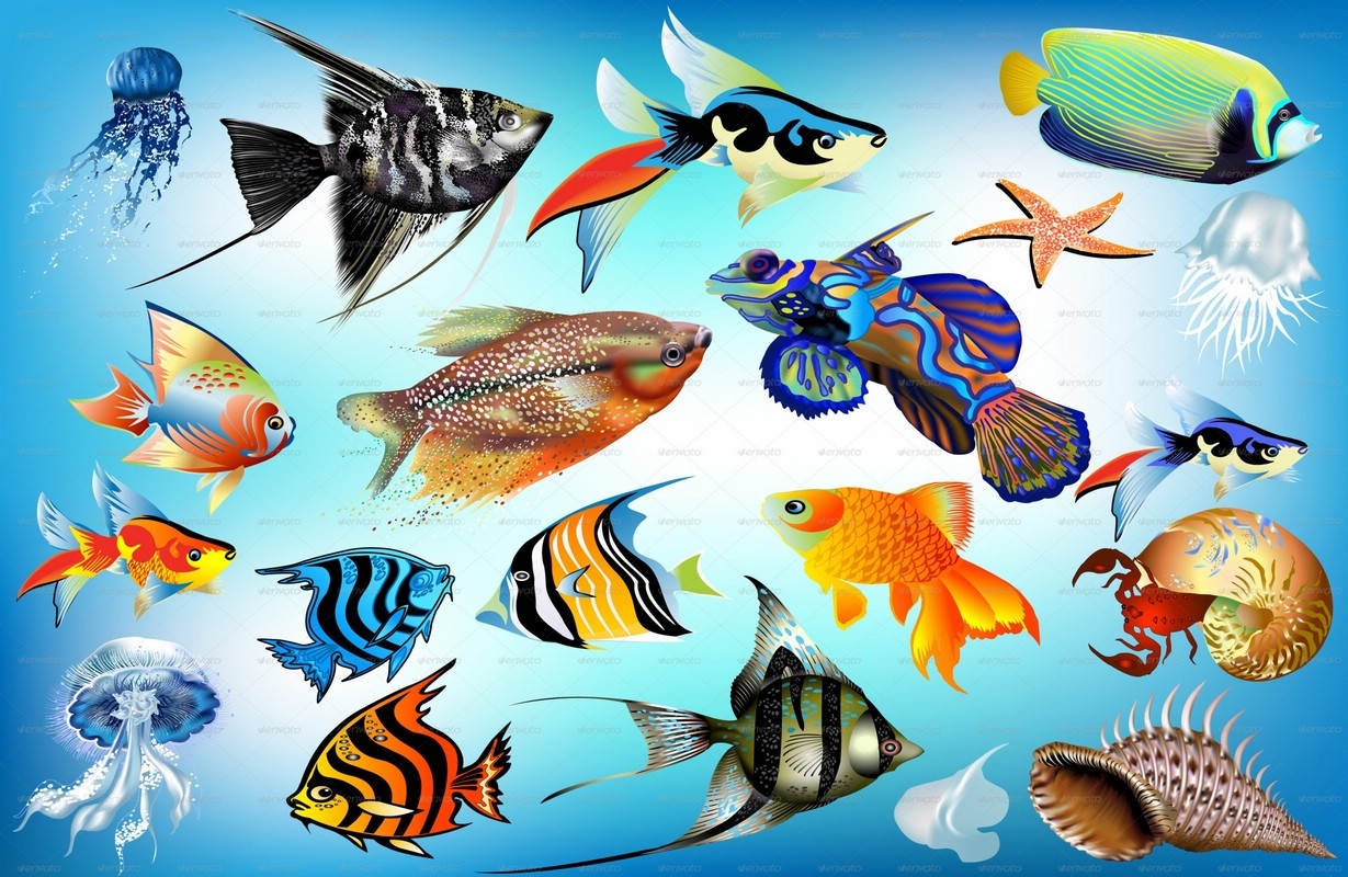 Аквариумные рыбы для детей. Морские рыбки. Рыба для детей. Аквариумные рыбки. Разнообразие рыб.