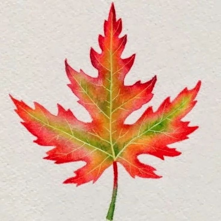 Как нарисовать кленовый лист акварелью