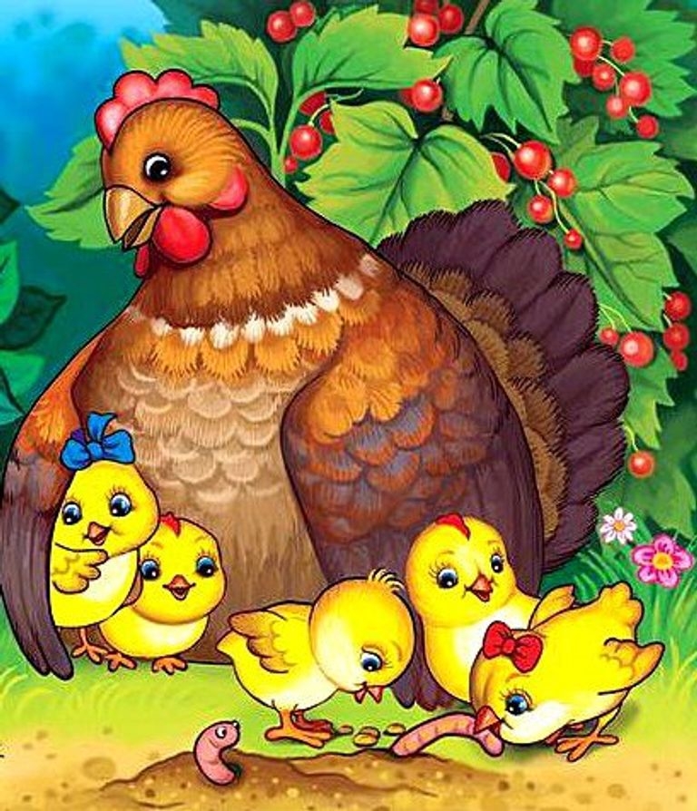 Картинки курица с цыплятами для детей (39 шт.)