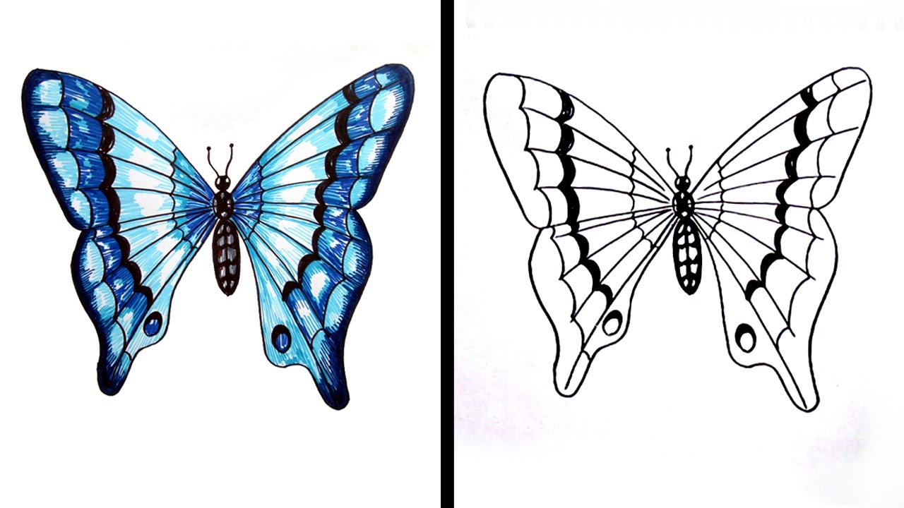 Симметричное изображение. Симметричные рисунки. Симметричное рисование бабочки. Рисунок на тему симметрия. Красивые бабочки для рисования.