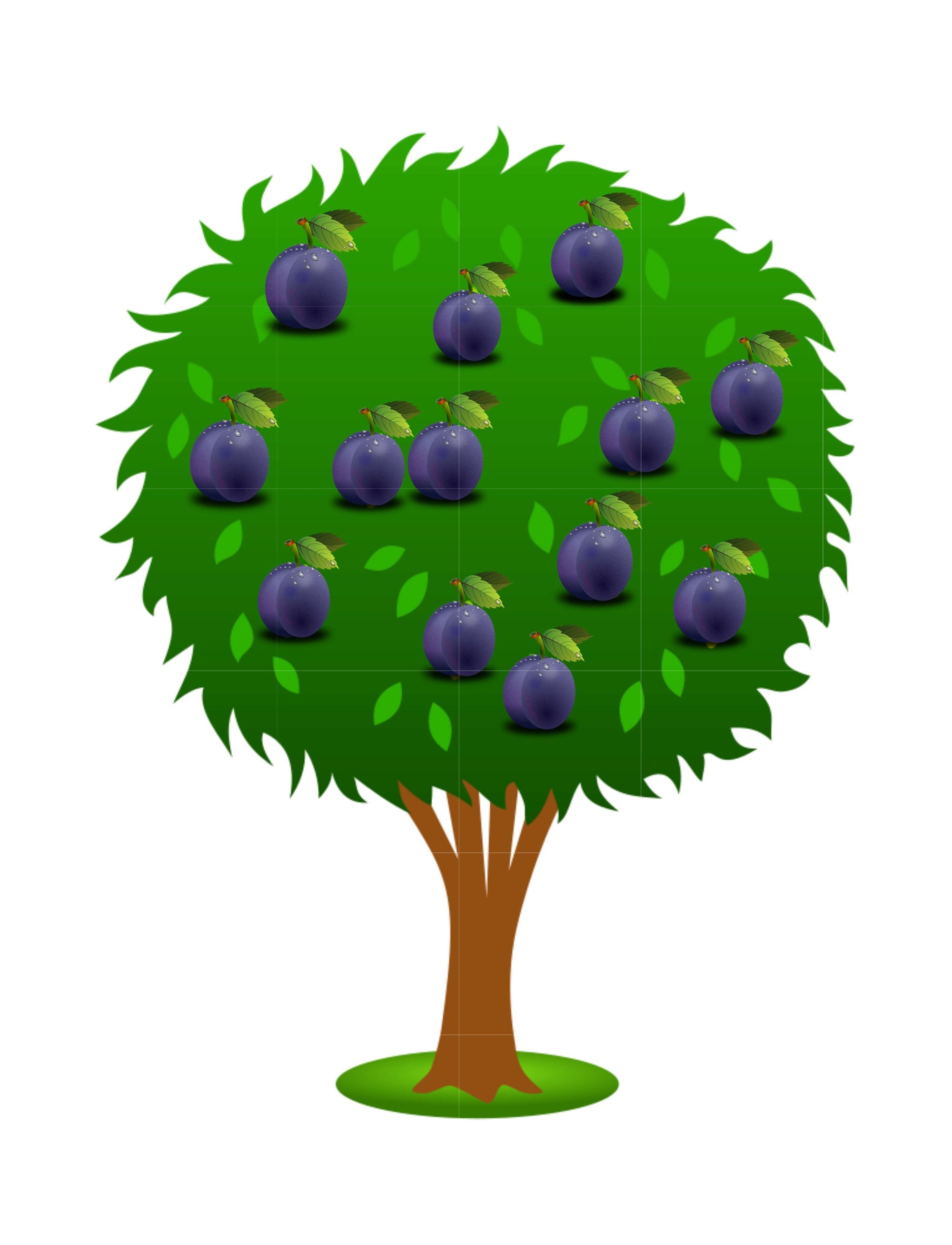 картинка дерево слива для детей