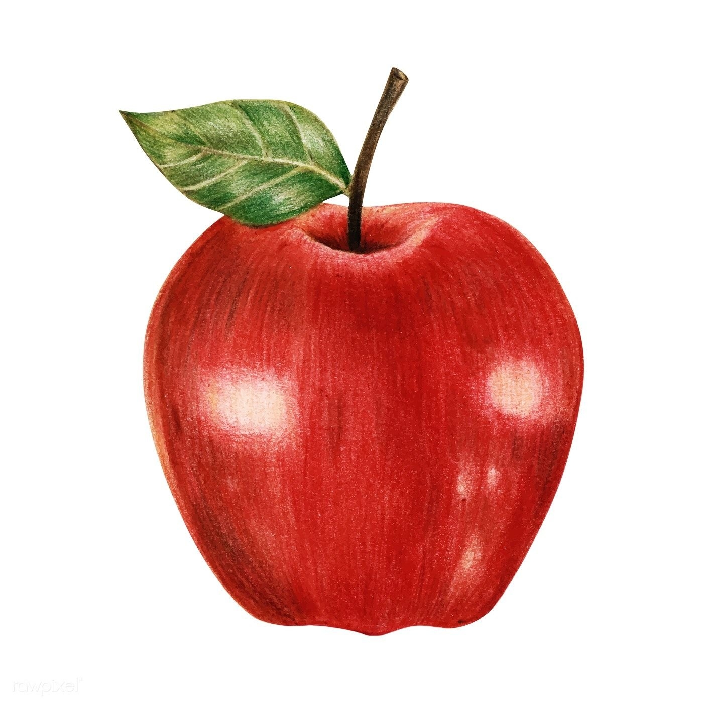 Яблочки Картинки Для Детей