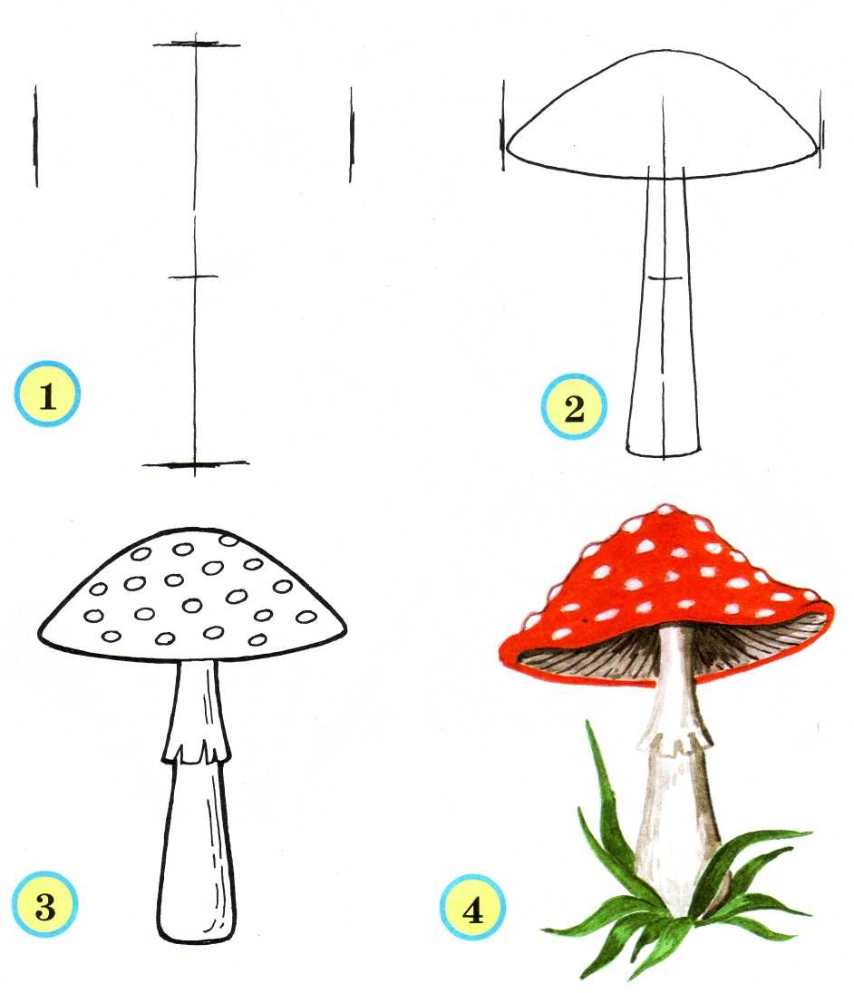 Несъедобные грибы нарисовать - 24 фото
