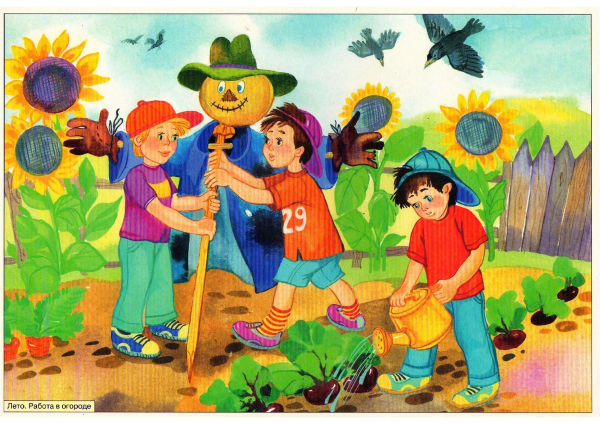 летние картинки для детей в детском саду